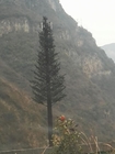 Le Telecomunicazioni cammuffate albero della palma del pino dell'antenna si elevano l'acciaio Q235B
