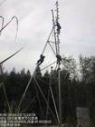 La immersione calda d'acciaio Q355 ha galvanizzato l'albero di Guyed per la telecomunicazione