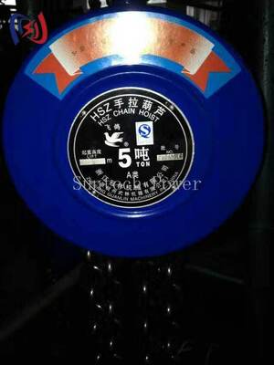 Paranco a catena manuale professionale per sollevamento pesante nell'edilizia elettrica con carico nominale da 5-200KN