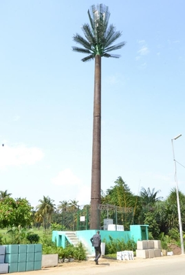 Torre d'acciaio galvanizzata dell'antenna artificiale dell'albero della immersione calda per la telecomunicazione