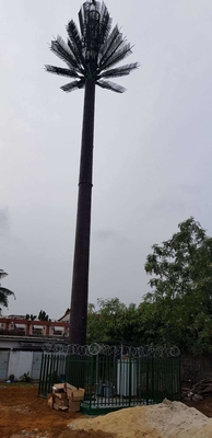 Torri cammuffata della palma del pino di comunicazione altezza di 80m - di 0m