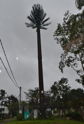 Torre di antenna tubolare mobile del pino per la telecomunicazione