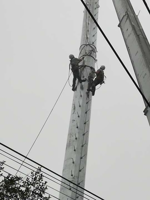 La immersione calda unipolare d'acciaio della torre di comunicazione Q345 ha galvanizzato